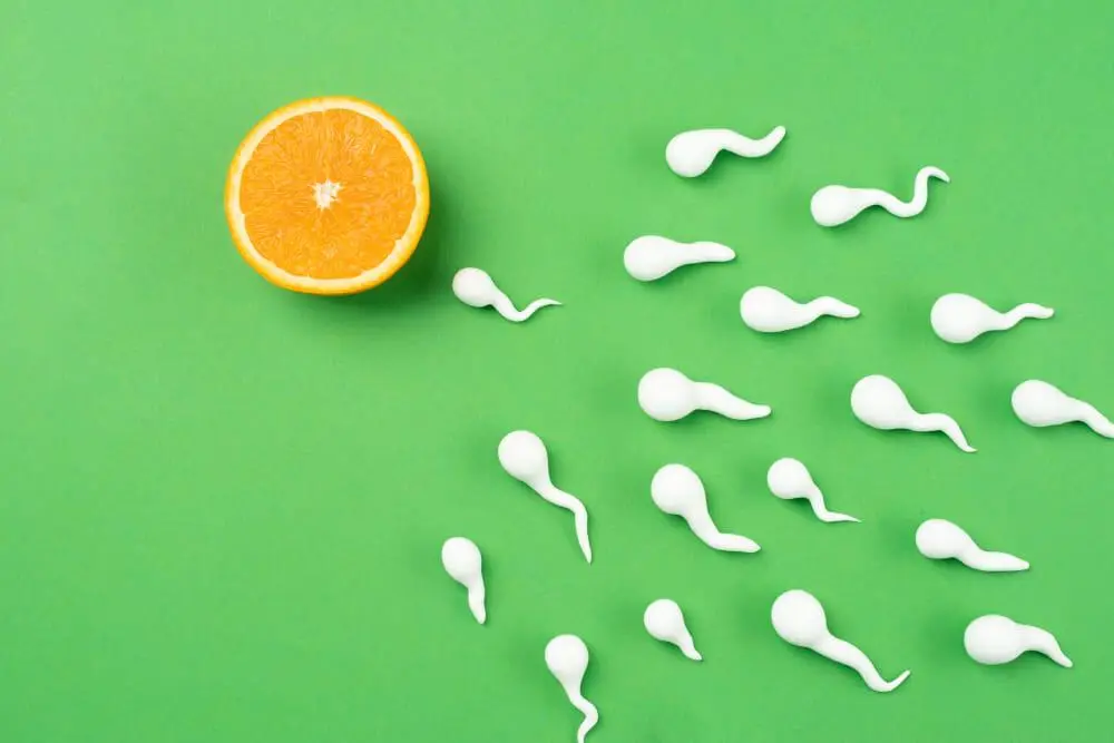 How Smoking or Gutka Affects the Quality of Your Sperm  A Real Conversation Every Man Deserves to Hear