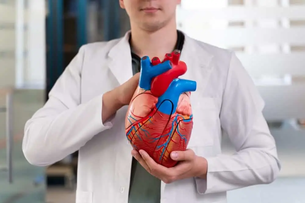 Comparison of a healthy heart and arteries vs. arteries damaged by smoking