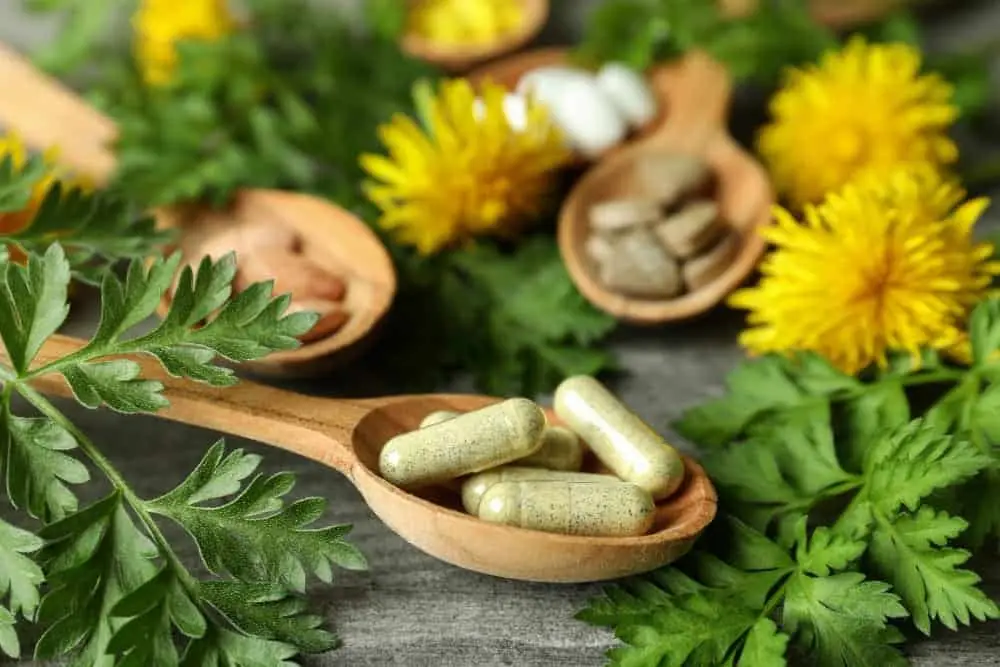 Why Herbal Supplements Can’t Replace the Cravings for Nicotine
