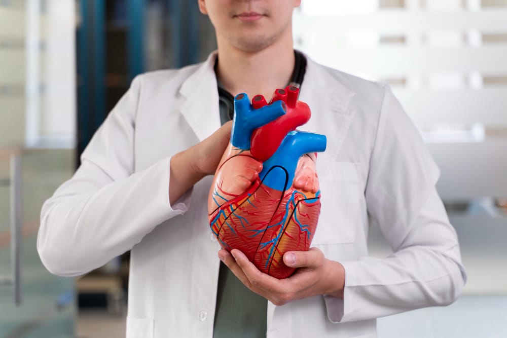 Comparison of a healthy heart and arteries vs. arteries damaged by smoking