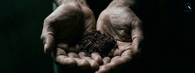 A green plant breaking through cracked stone — representing recovery and hope after quitting chewing tobacco and gutka
